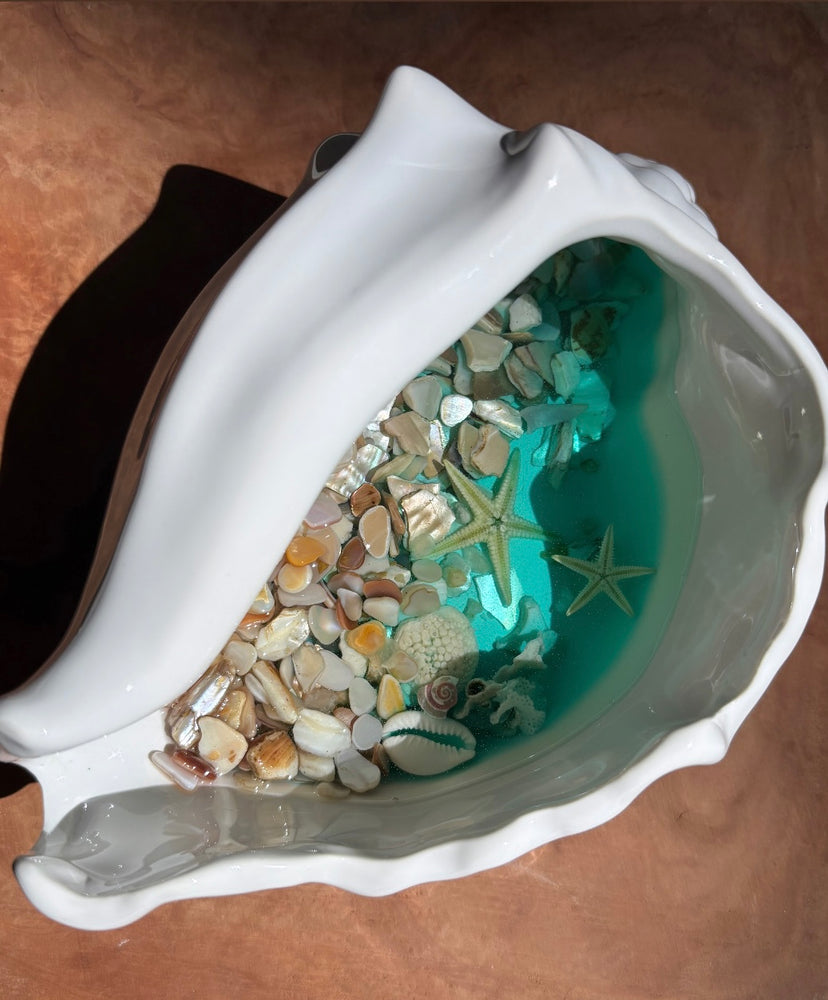 Large Conch Shell - By the Beach