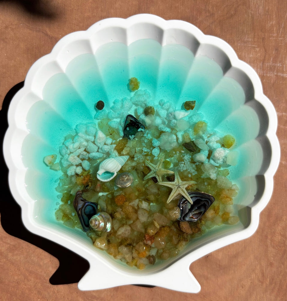 Sea Scallop - By the Beach