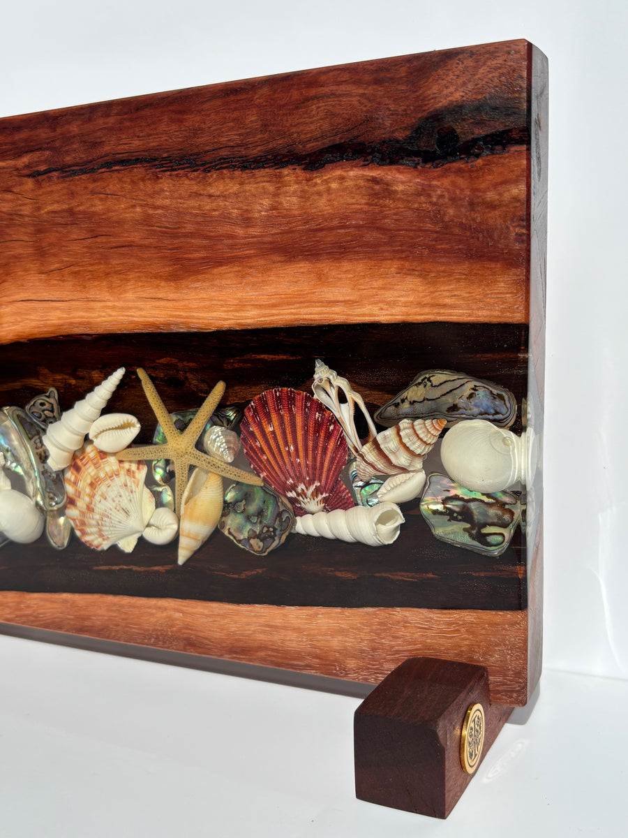 Magnetic Knife Block ~ Shells Jarrah 300mm x 220mm – indi&soak