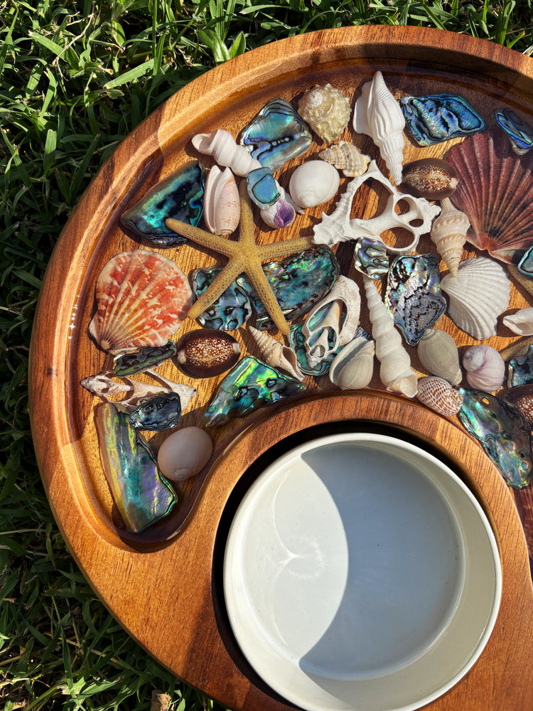 *PRE ORDER ~ Chips & Dip Tray Shells