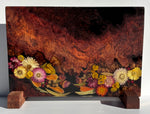 Magnetic Knife Block ~ Native Western Red Burl 300mm x 220mm