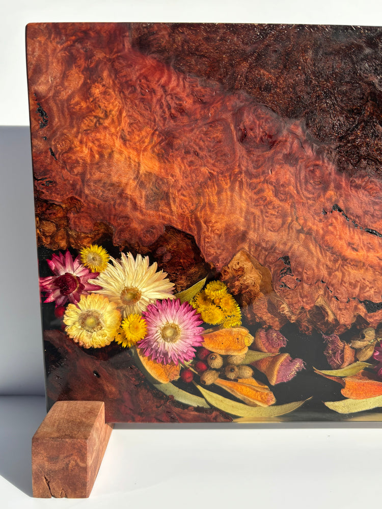 Magnetic Knife Block ~ Native Western Red Burl 300mm x 220mm