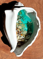 Large Conch Shell - By the Beach