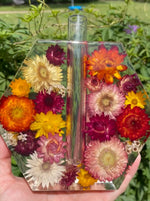 Vase Strawflower Hex test tube propagation vase