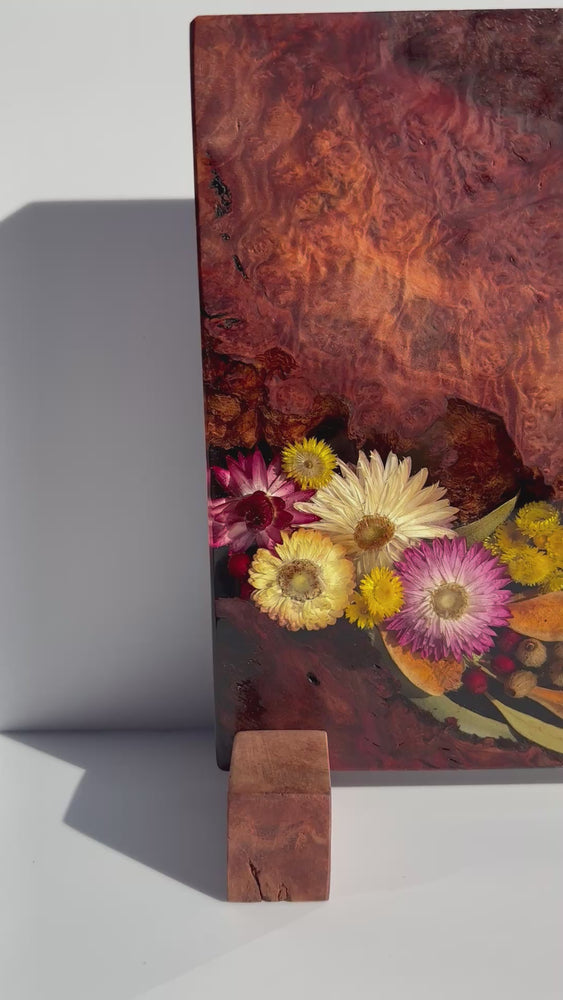 
            
                Load and play video in Gallery viewer, Magnetic Knife Block ~ Native Western Red Burl 300mm x 220mm
            
        