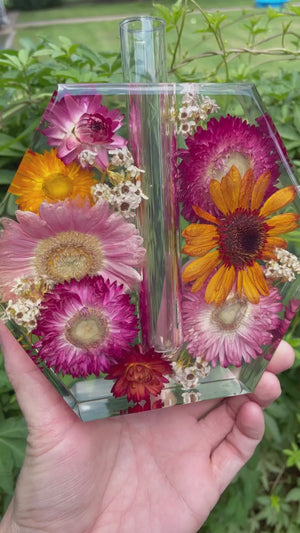 
            
                Load and play video in Gallery viewer, Vase Floral Hex test tube propagation vase
            
        
