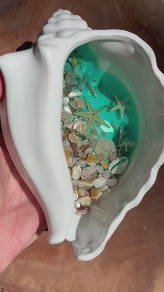 
            
                Load and play video in Gallery viewer, Large Conch Shell - By the Beach
            
        