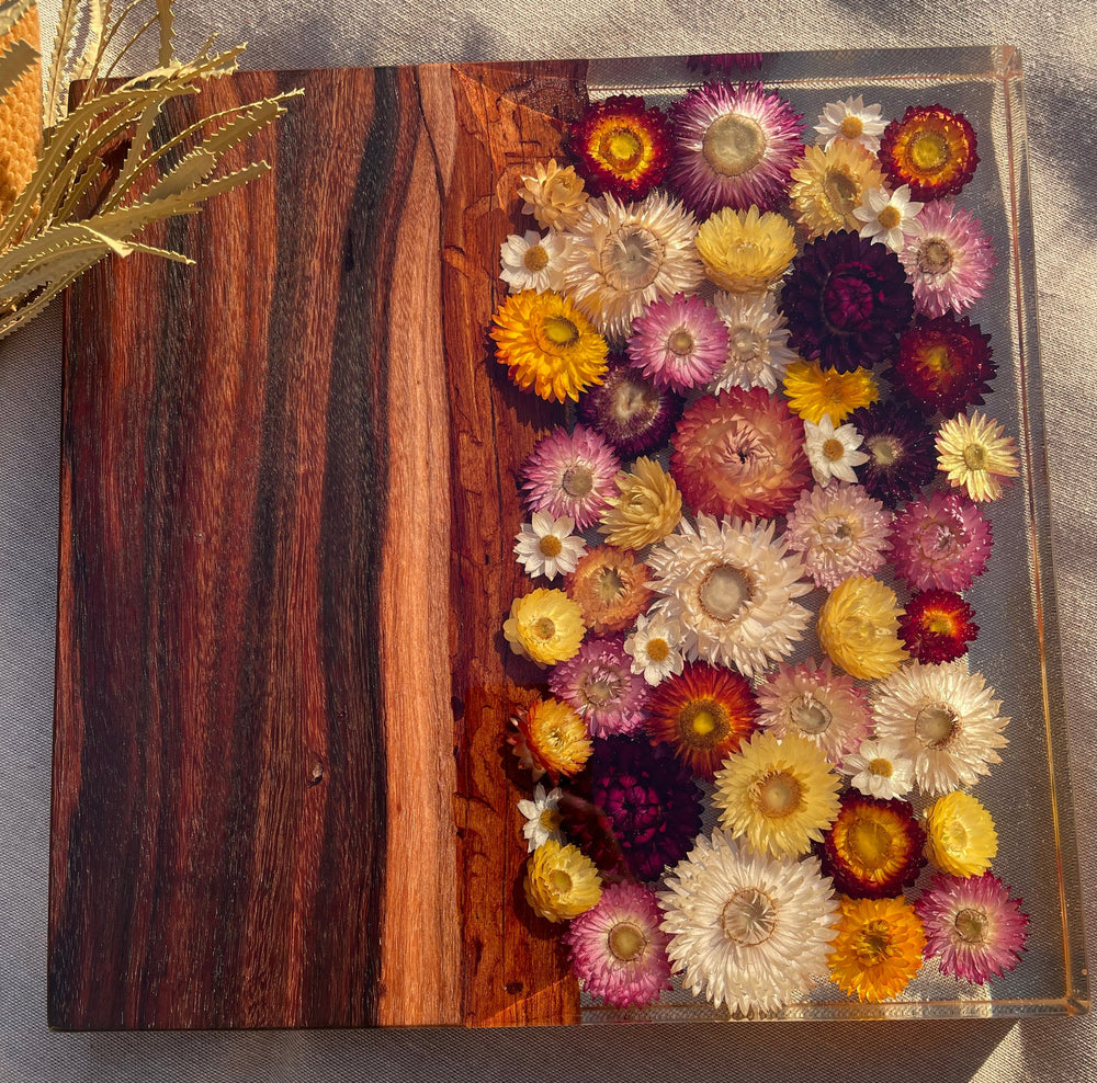 *PRE ORDER for 2025 - Sally Organic Strawflowers Board 300mm x 300mm